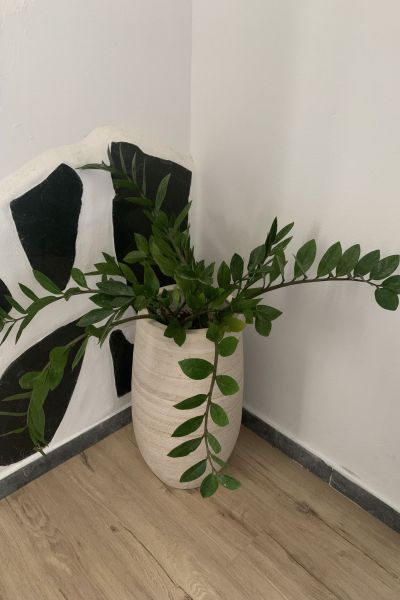 Suite Halcones Finca Marisa