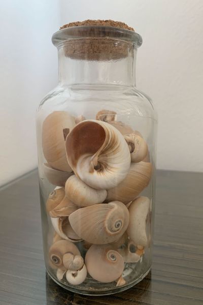 Zimmer Pico Colarado Finca Marisa