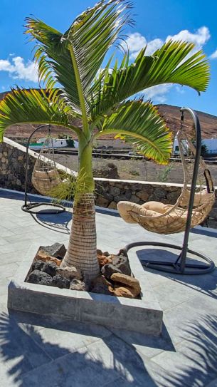 Palmen und Hängematten Lanarote