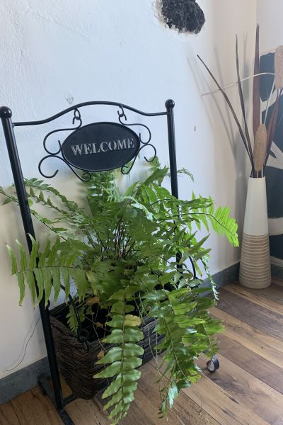 Suite Guanapay Finca Marisa