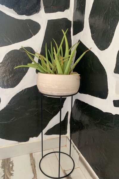 Suite Manrique Finca Marisa