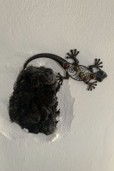 Suite Halcones Finca Marisa